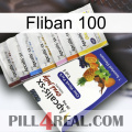 Fliban 100 11